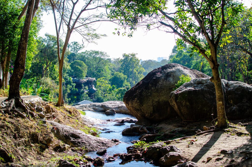Widok na mały wodospad i las w Parku Narodowym Doi Suthep, koło Chiang Mai. 