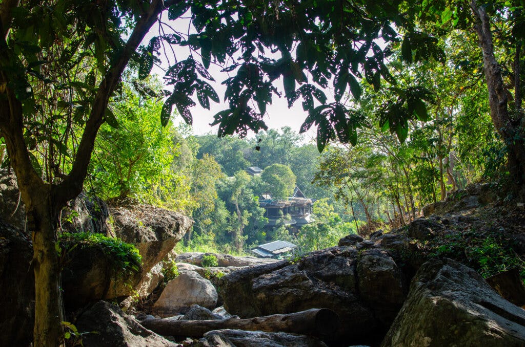Las na Doi Suthep w Chiang Mai przy wodospadzie. 
