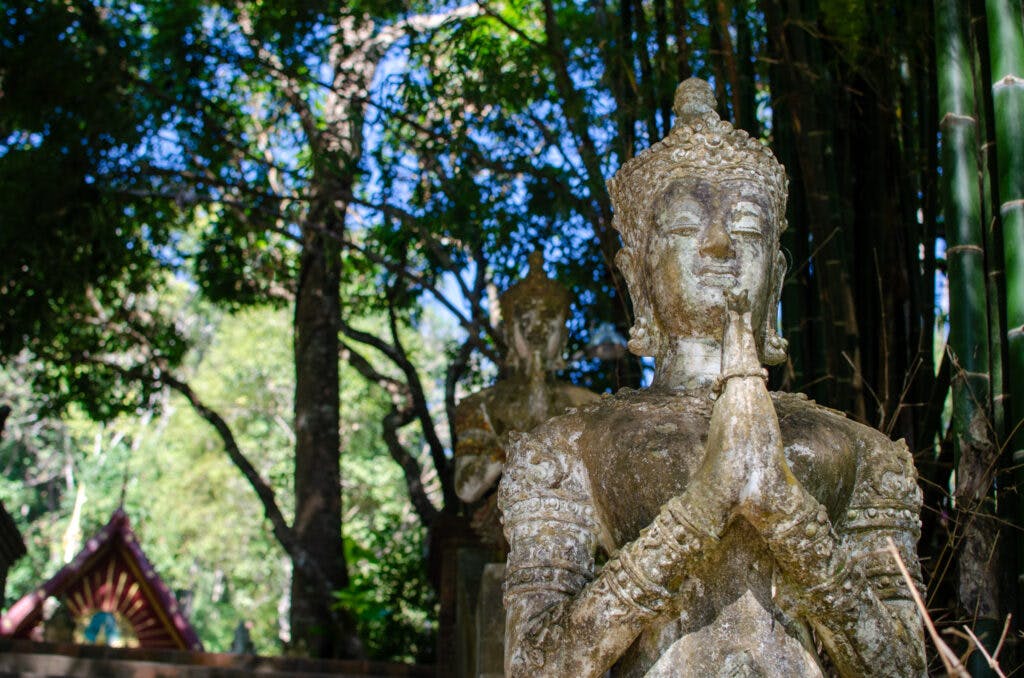 Posąg Buddy w ruinie świątyni niedaleko Chiang Mai. Za posągiem widać fragment świątyni oraz las. 