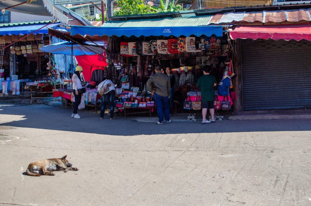 Wioska Hmongów, bazar, śpiący pies na ulicy przy straganie. Grupa ludzi targuje się ze sprzedawcą. 