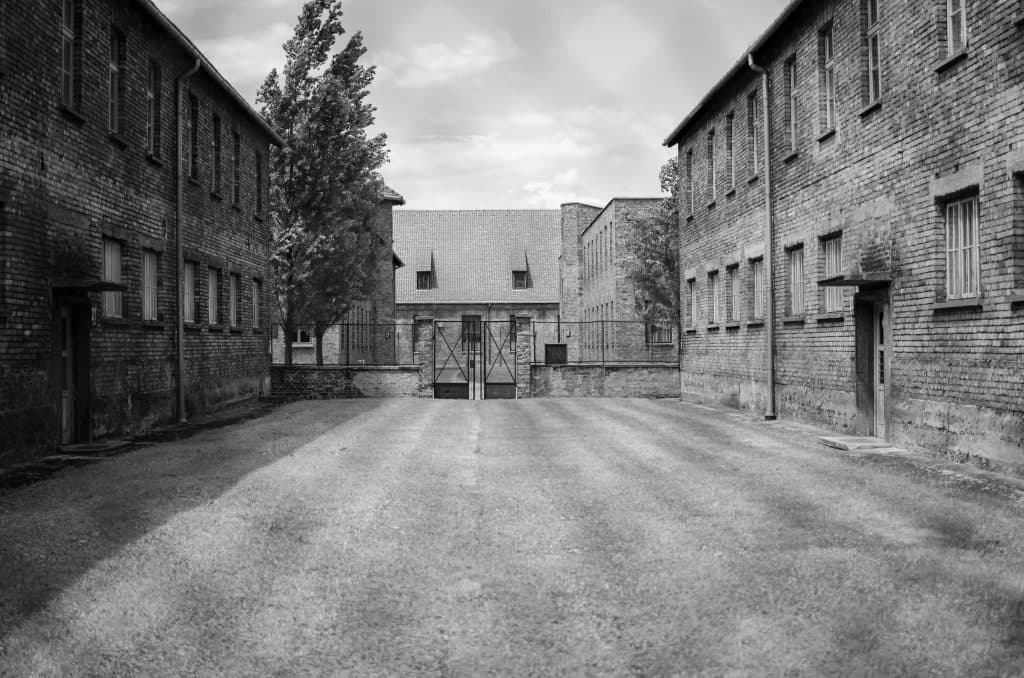 Muzeum w Oświęcimiu