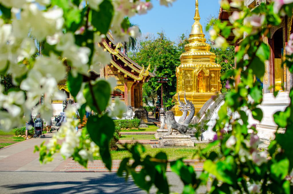 A golden stupa with flowers, Chiang Mai.